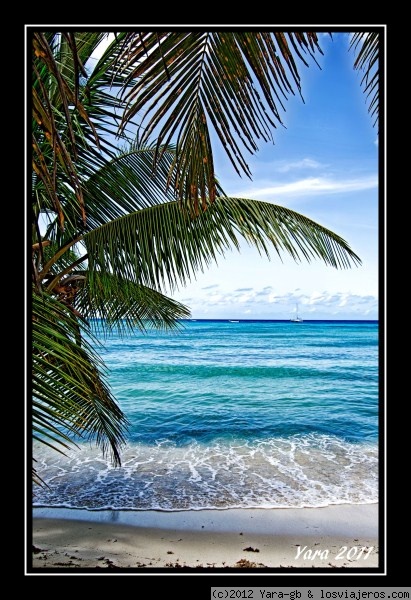 Una ventana al paraiso : Isla Saona
Si tuvieramos que imaginar un paisaje de playa paradisiaco creo que nos imaginariamos algo asi.
