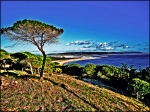 Natural Park of La Brena (Barbate, Cadiz)