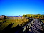 Marshes in Sotogrande (ecological route)