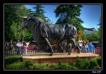 Pueblo de Ronda (Malaga)
Pueblo, Ronda, Malaga, Escultura, toro, bravo, escultura, impresiona, porque, super, realista