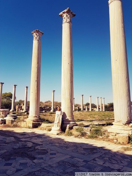 Antigua ciudad de Salamina
El gimnasio y sus columnas
