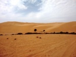 Desierto
desierto