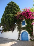 Sidi Bou Said
Sidi Bou Said