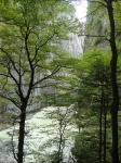 Aareschlucht (Meiringen)
Aareschlucht Meiringen