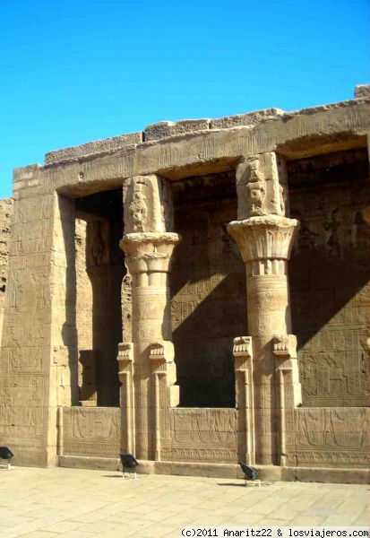 Columnas en el templo de Edfu
Es el templo mejor conservado de Egipto y el más importante después del de Karnak. Mide 137 metros de longitud por 79 de ancho y 36 de altura, y representa la típica construcción de los templos con el pilono, el patio, 2 salas hipóstilas, una cámara de ofrendas, la sala central y el santuario.
