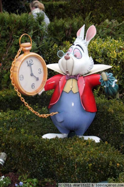El Conejo Blanco de Alicia en el Pais de las Maravillas
Foto sacada en Disneyland Paris
