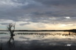 Go to photo: Lake in the Landes