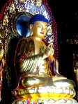 Buda en la Gran Pagoda de la Oca Salvaje
Buddha in the Great Wild Goose Pagoda