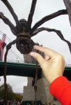 Cogiendo la araña del Guggenheim
Catching the spider's Guggenheim