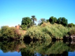 Naturaleza por el Nilo