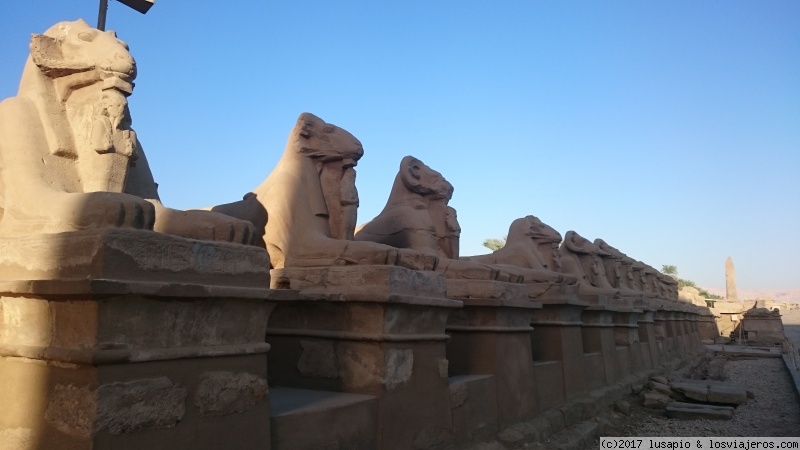 Egipto 2017 - Blogs de Egipto - 24/09/17 Luxor (1)