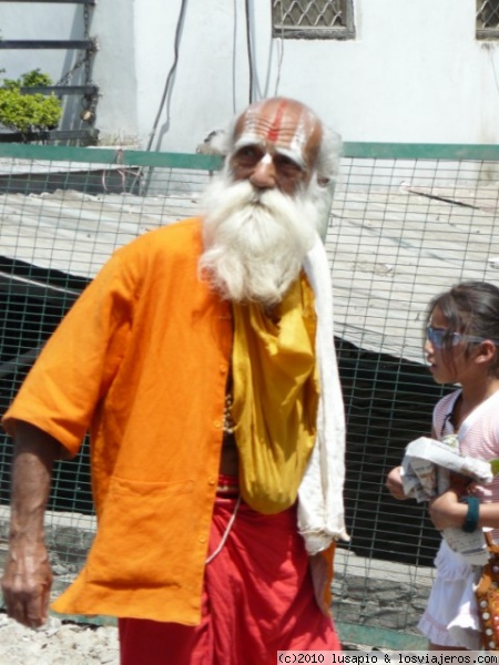 sadhu  de naranja
1004 sadhu,   Haritwar
