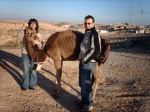 Dando el desyuno a un pequeño camello