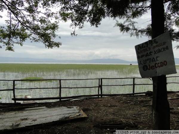 Lago de Awassa
Principal atractivo de la quinta ciudad con mas población del país. Su fauna y los hipopótamos son el principal atractivo
