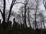 Cementerio Judio (Hannover)