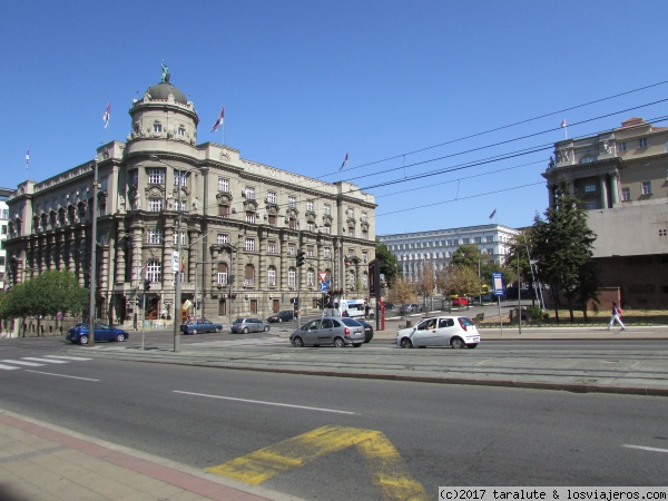 Edificio en la calle Kneza Milosa
Banderas serbias por todas partes
