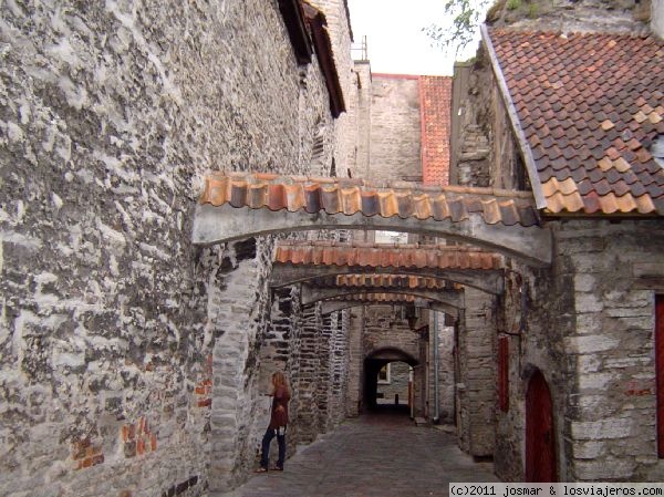 Pasaje Santa Catalina Tallin
En la ciudad baja de Tallin, junto a las ruinas de Santa Catalina y el Convento de Los Dominicos uno de los monumentos más antiguos de la ciudad(s.XIII)
