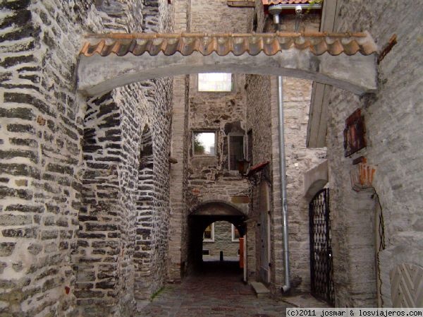 Calle de Artesanos del vidrio. Tallin
En el Pasaje de Santa Catalina existen casas de los siglos XV-XVII donde hay talleres de artesanos de pintura sobre vidrio.
