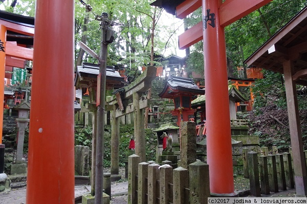 13/09  FUSHIMI INARI y NARA (Memorias de una Geisha y Bambis) - JAPÓN 2017 (2)