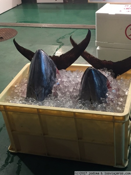 ATUN EN OMICHO
Japón, el paraíso del atún
