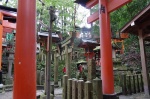 FUSHIMI INARI