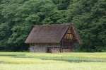 SHIRAKAWAGO