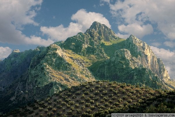 LA TIÑOSA DE PRIEGO DE CÓRDOBA. PICO MÁS ALTO DE LA PROVINCIA DE CÓRDOBA
Destaca principalmente la Sierra de Horconera, en la que destacan el pico Bermejo (1.476 m.) y la cima más elevada de la provincia de Córdoba en el pico de la Tiñosa (1.570 m.), formando un impresionante macizo calizo.
