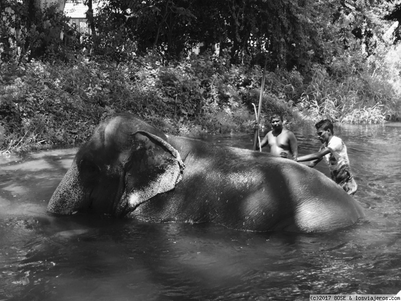 Día 11: ELLA-TISSA (TISSAMAHARAMA) - Mochilera sola por Sri Lanka / 15 días (2)