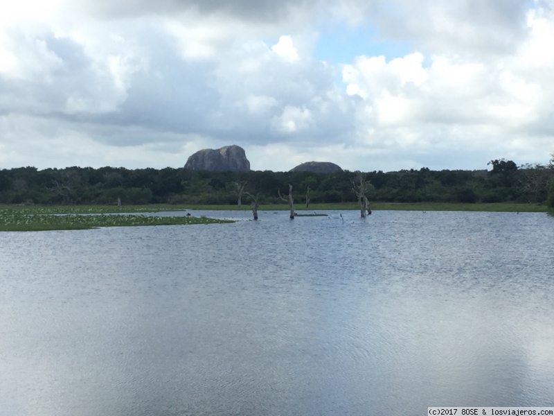 Día 12: YALA NATIONAL PARK (Safari) - Mochilera sola por Sri Lanka / 15 días (2)