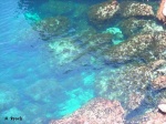 Blue Grotto (Zurrieq)