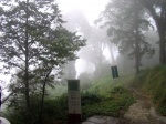 Bosques de Alishan.- Taiwan
Senderos bosques Alishan.- Taiwan
