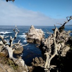 Point Lobos