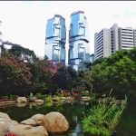 Hong Kong Park
Hong, Kong, Park, vegetación, rascacielos, unen