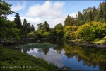 Arboretum Washington Park, Seattle (Washington)