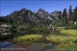 Header Meadows, Mt. Baker-Snoqualmie National Forest (Washington)