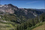 Header Meadows, Mt. Baker-Snoqualmie National Forest (Washington)