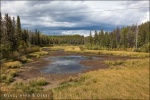 Pequeño lago en la Chilcotin - Bella Coola Hwy (20), British Columbia (Canadá)