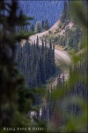 The hill, Bella Coola Valley (British Columbia, Canadá)
Tramo carretera valle Bella Coola Anahim Lake British Columbia