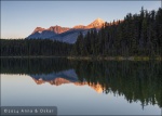 Leach Lake - Jasper National Park, Alberta (Canadá)