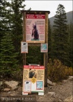 Aviso presencia de osos - Consolation Lakes - Banff National Park, Alberta (Canadá)