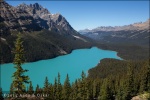 Peyto Lake - Banff National Park, Alberta (Canadá)