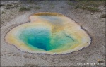 Belgian pool - Yellowstone National Park