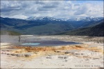 Canary Springs - Yellowstone National Park