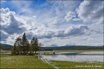 Praderas Gibbon - Yellowstone National Park