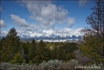 Signal Mountain - Grand Teton National Park