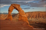 Delicate Arch - Arches National Park
Delicate Arch Arches National Park