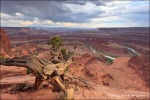 Dead Horse Point Overlook - Dead Horse Point State Park
Dead Horse Point Overlook Dead Horse Point State Park Utah