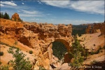 Natural Bridge - Bryce Canyon National Park