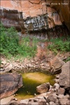 Upper Emerald Pool - Zion National Park