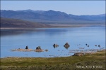 Mono Lake - California